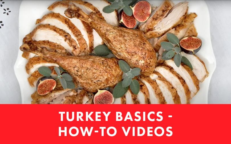 Turkey Basic Videos