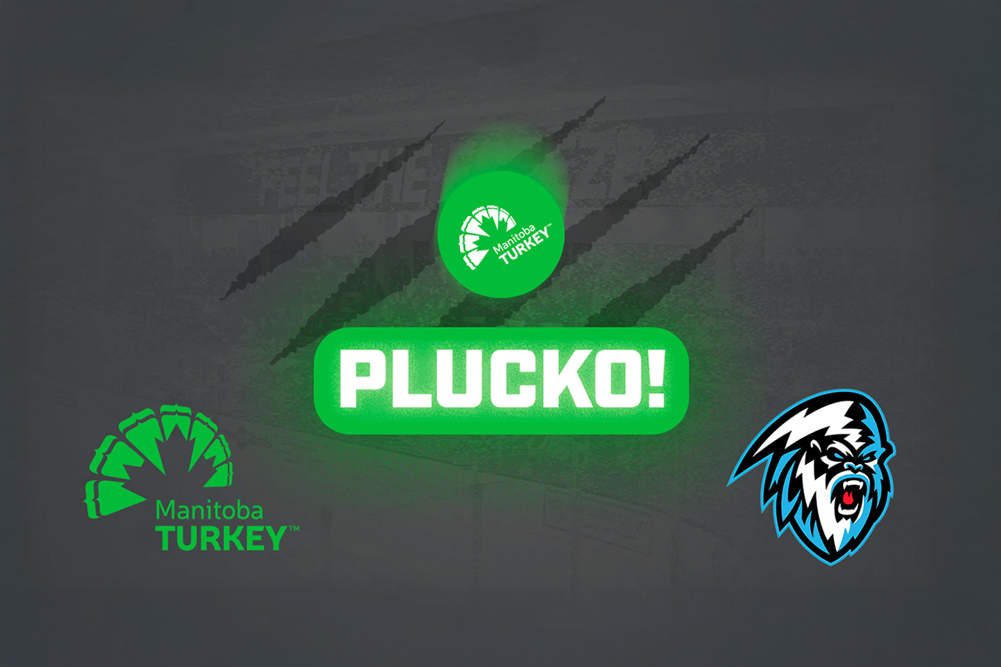 plucko! logo